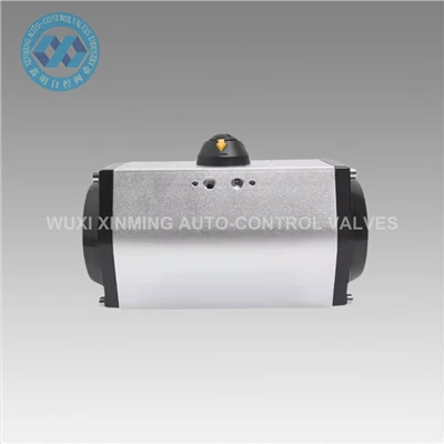 Black Silver Pneumatic Atuator