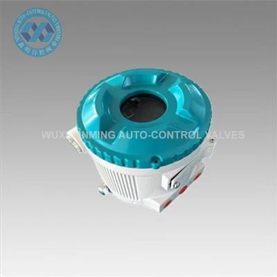 Explosion-proof Smart Valve Positioner