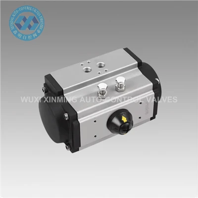 Low Maintenance Cost Pneumatic Actuator