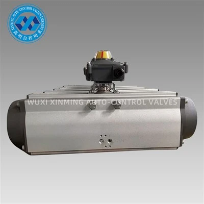Rack And Pinion Pneumatic Actuators