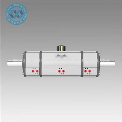 Double Acting Pneumatic Actuator